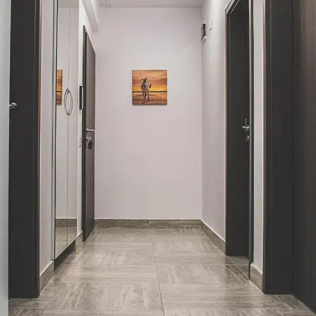 Apartament Ultracentral Silvana Dealul Morii